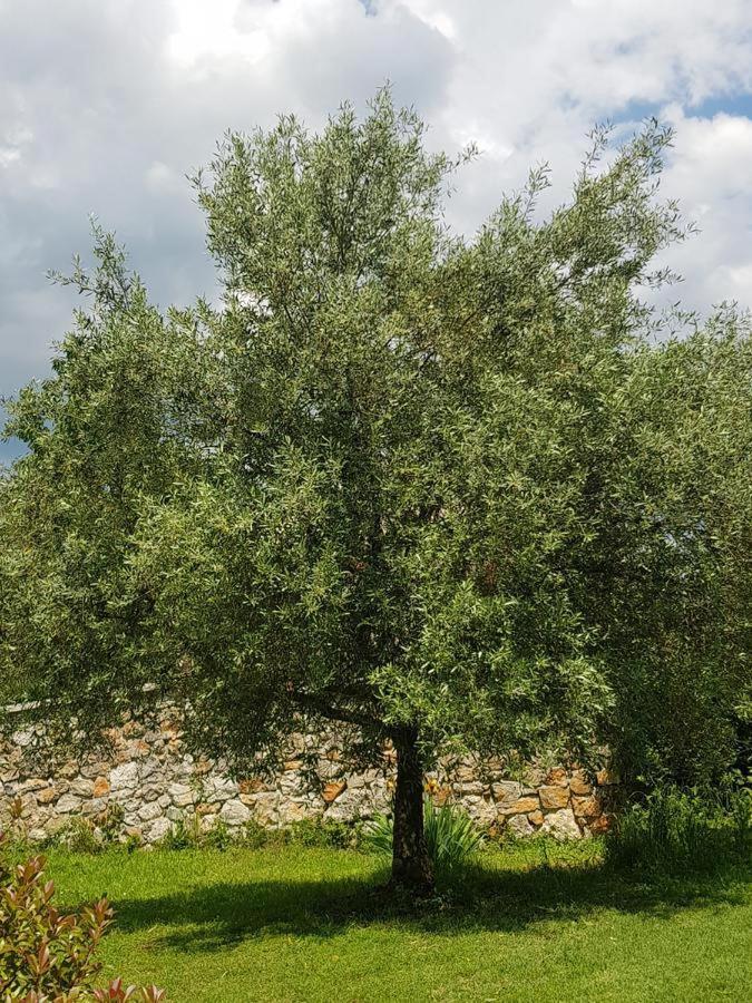 Apartmani Adria Opatija Buitenkant foto